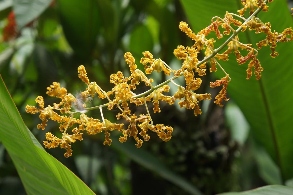 Raintree Lodge Port Moresby Zewnętrze zdjęcie